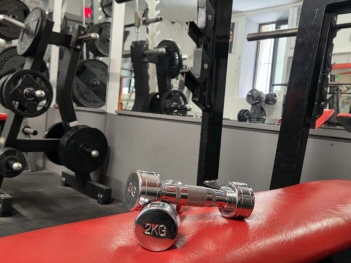 MUSCULATION
