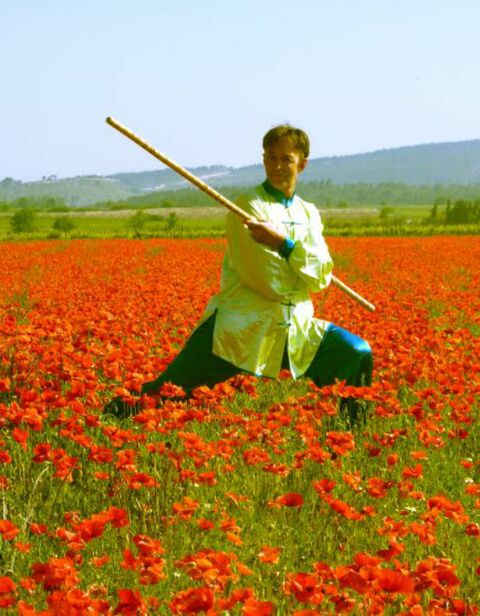 TAÏ CHI CHUAN / QI GONG